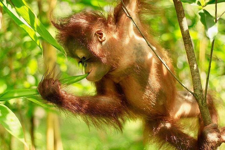 Lombok Wildlife Park Ticket