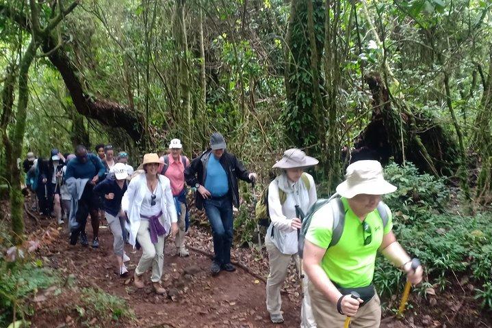 Beste Kilimanjaro-avonturen 6-daagse Marangu-route-ervaring