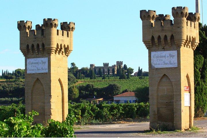 Tour de cata de vinos en Châteauneuf du Pape que incluye almuerzo desde Aviñón