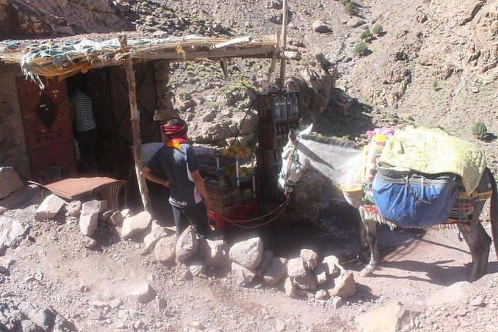 3 Day Toubkal Trek with a professional guide (private transfers)