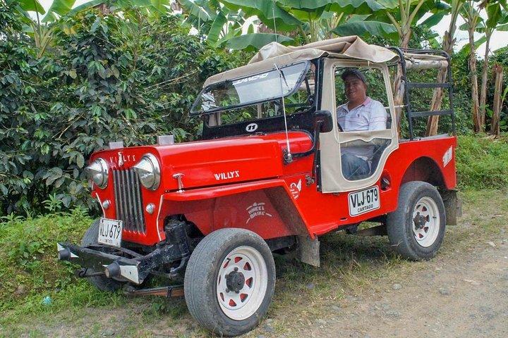 Coffee Plantation Tour From Bogota