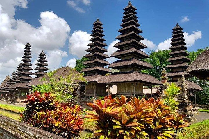 Individual Bali Day Trip with Private Driver and Free WiFi