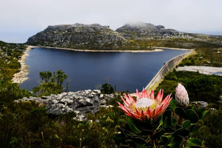Table Mountain Summit Hike via Kasteelspoort