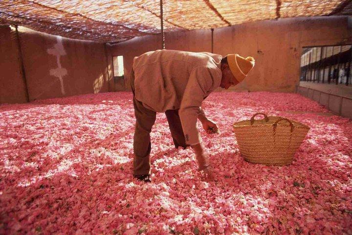 3 Days Private Tour from Marrakech to Merzouga Desert