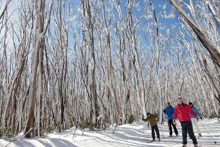 Private Snow tour Lake Mountain (JUN-SEP)