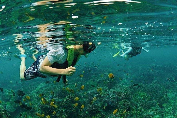 バリ島発ヌサペニダ島4ポイントシュノーケリング