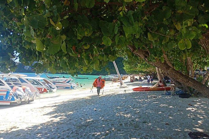 Private Speed Boat to Maya Bay, Monkey Beach at Phi Phi Island