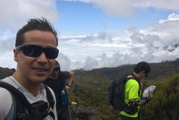Kilimanjaro Oplev 7 dages Lemosho-rute
