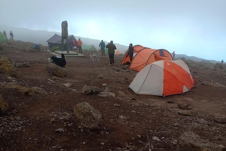 Kilimanjaro Experience 7 Days Lemosho route