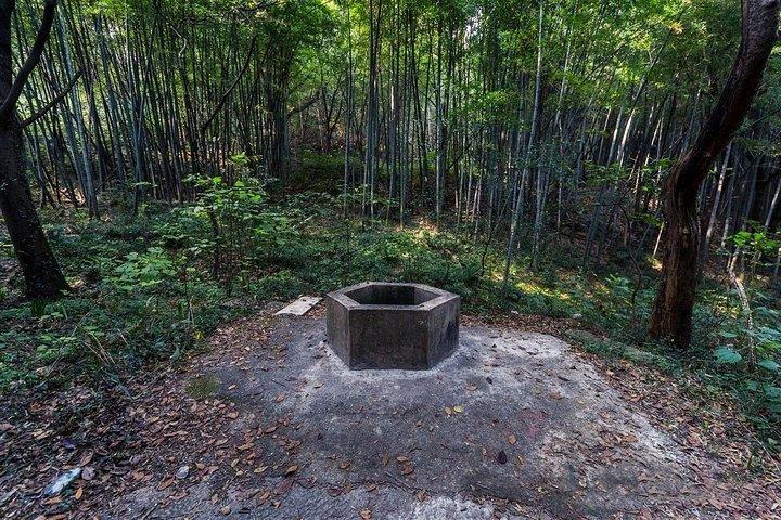 ベジタリアンヌードルとティーテイスティング付きのion龍山ハイキングのプライベートツアー