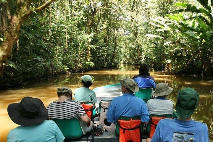 Tortuguero Nationalpark og Canals Dagstur fra San Jose