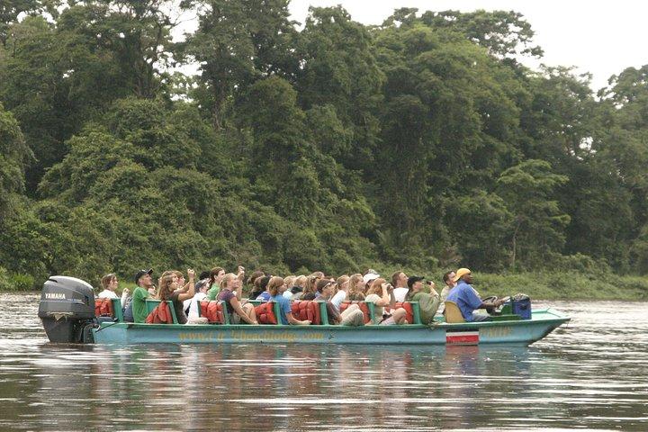 Tortuguero Nationalpark og Canals Dagstur fra San Jose