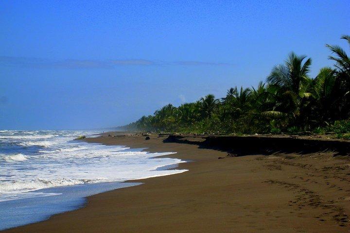 Tortuguero Nationalpark og Canals Dagstur fra San Jose