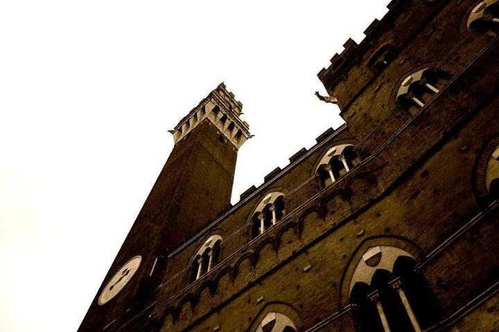 Dagtocht vanuit Florence: Siena en San Gimignano - privétour