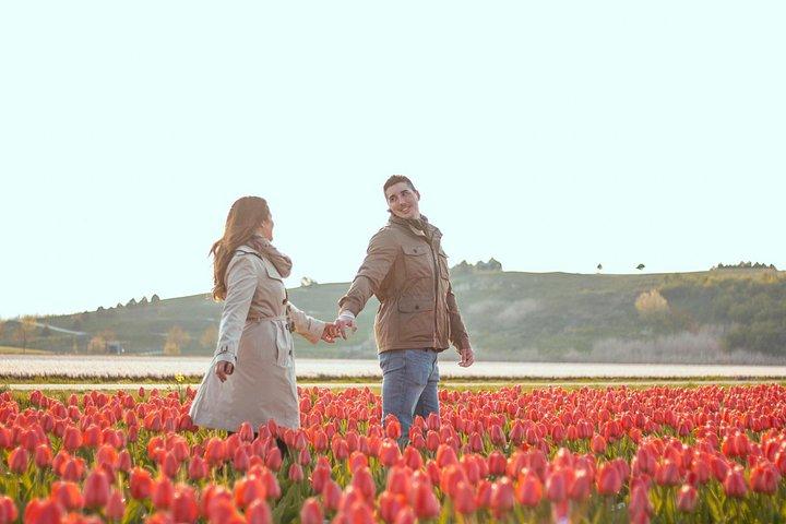 Tulip Fields Fotoshoot & Tour bij Amsterdam