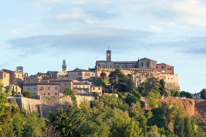 Dagtocht vanuit Florence: Deluxe Wine Tasting Tour in Montalcino - privétour
