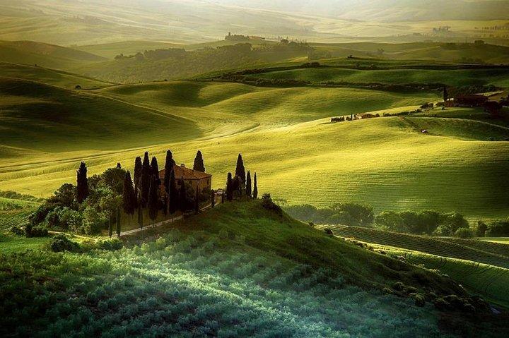 Dagtocht vanuit Florence: Deluxe Wine Tasting Tour in Montalcino - privétour