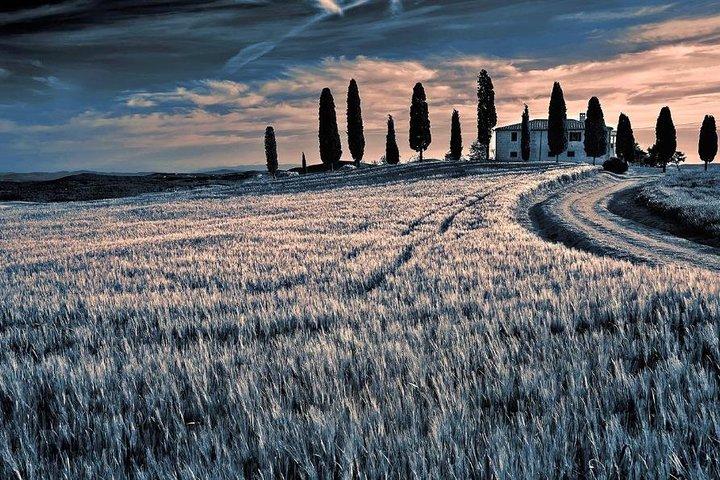 Dagtocht vanuit Florence: Deluxe Wine Tasting Tour in Montalcino - privétour