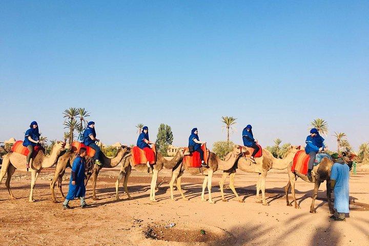 Camel Ride Near To Marrakech