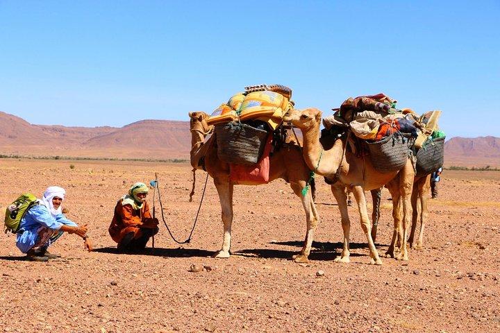 Fra Ouarzazate: Privat 12-dages-vandring i Draa Valley og Erg Chegaga klitter