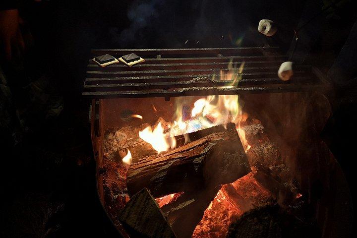 4-Day Canadian Camping Road Trip (Algonquin, Killbear, Killarney)