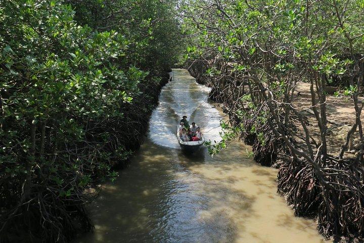 Can Gio Mangrove Reserva da Biosfera 1 dia