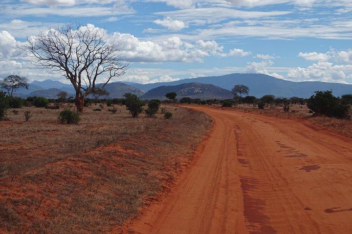 5-daagse safari Tsavo East Voyager Ziwani Amboseli Tsavo West Kilanguni Serena Ldg