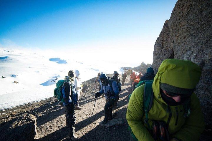 Desafío a la cumbre del Kilimanjaro: 6 días por la ruta Marangu