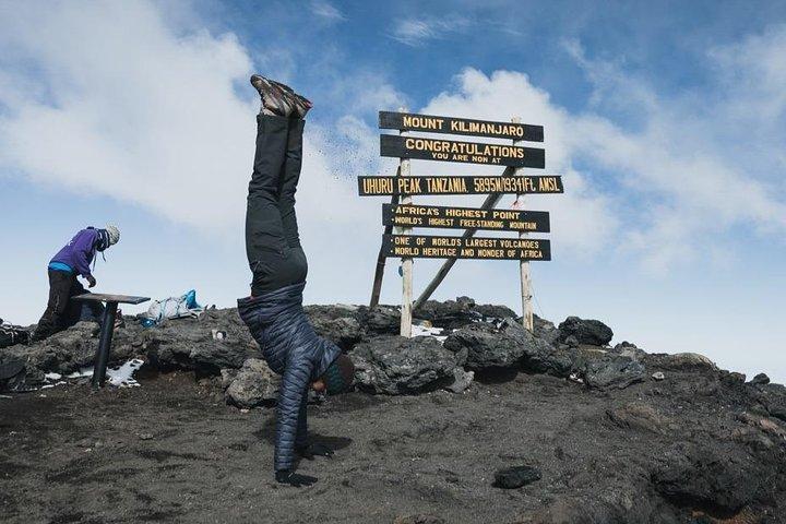 Conquista el Kilimanjaro: aventura de 5 días por la ruta Marangu