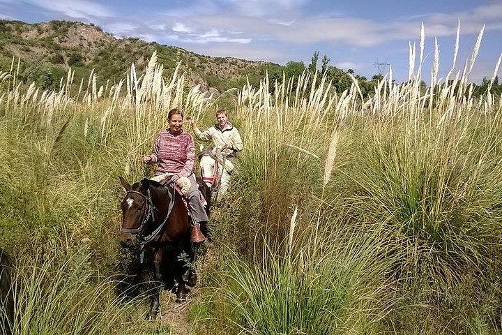 Cabalgata Criolla