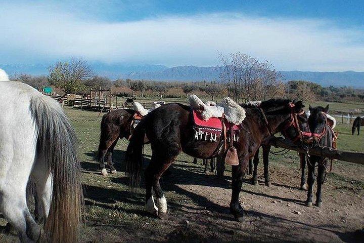 Cabalgata Criolla