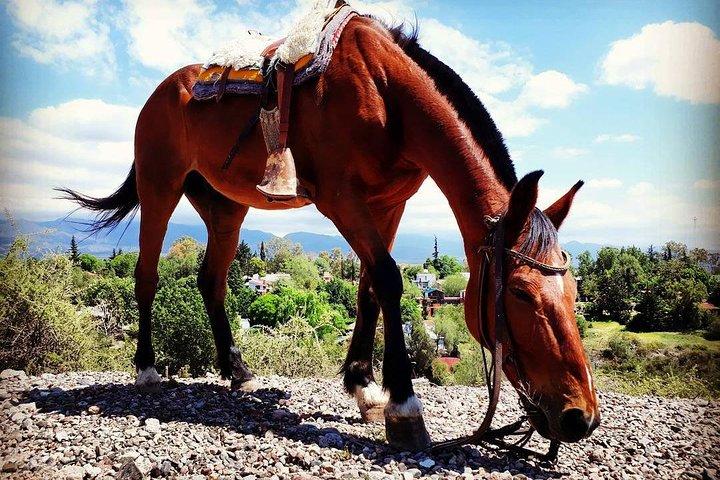 Cabalgata Criolla