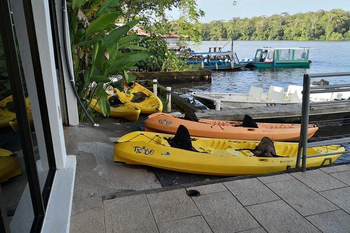 Total Tortuguero Canoa o Kayak+caminata+NW(Tortugas de jul-oct)