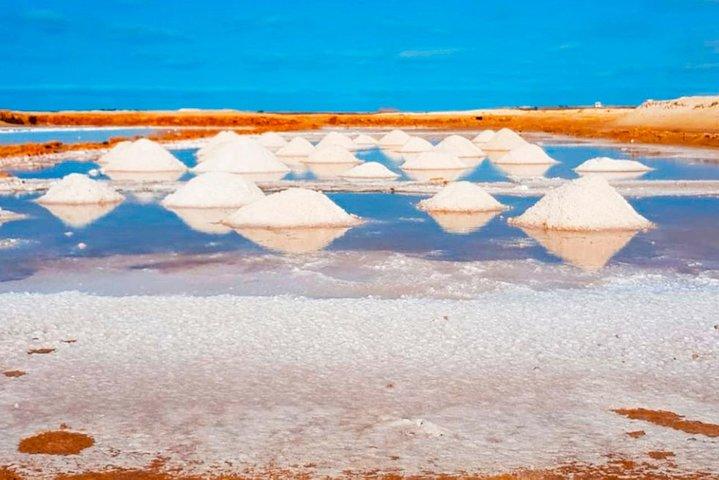 Isla de Sal: tour guiado de todo el día con almuerzo
