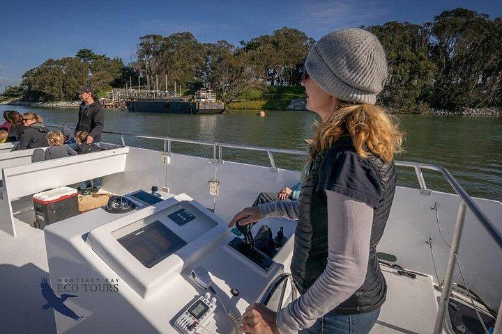 Visite de la faune Elkhorn Slough