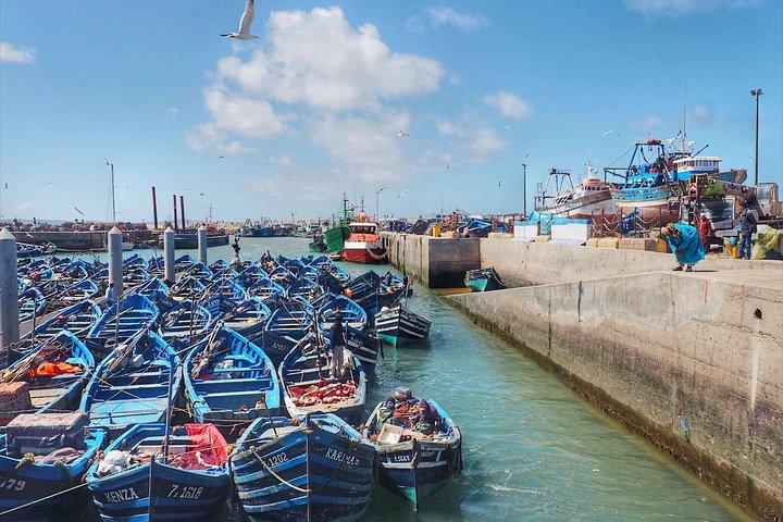 Delad gruppdagstur från Marrakech till Essaouira