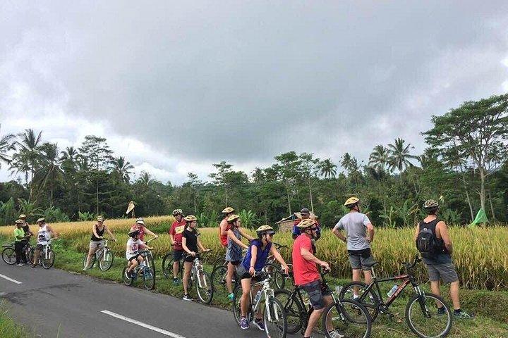 Ubud Cykel privat tur