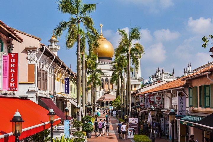 Excursion privée de 6 ou 8 heures à terre de Singapour à pied