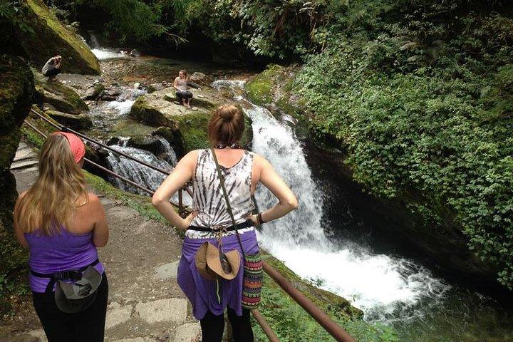 Ghorepani Poon Hill Trek