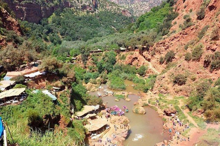 マラケシュウズード滝からの共有グループ日帰り旅行