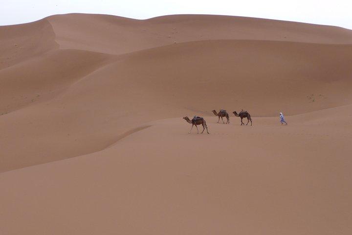 2 Days Marrakech Zagora Desert