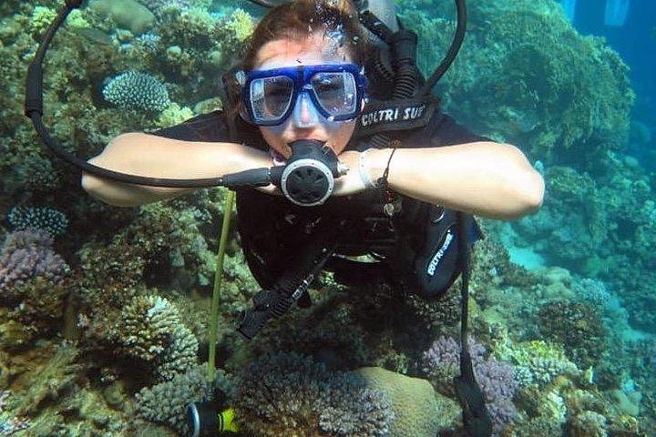 2 immersioni nell'isola di Tiran in barca
