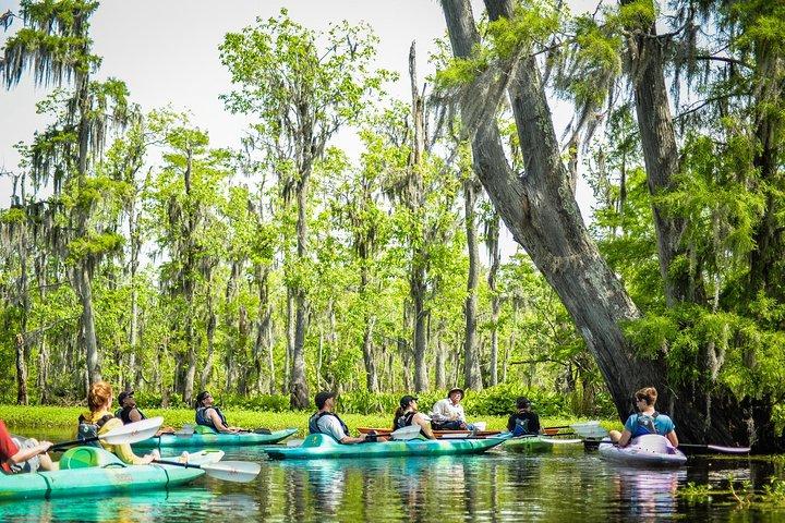 Small-Group Manchac Swamp Kayak Tour with Local Guide
