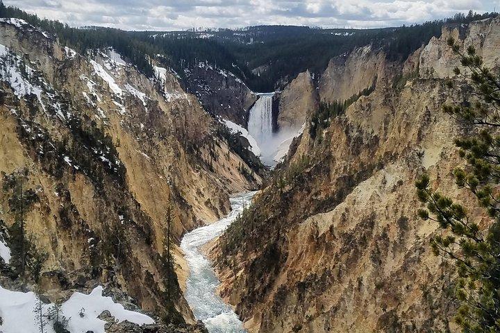 Private Yellowstone Lower Loop Tour