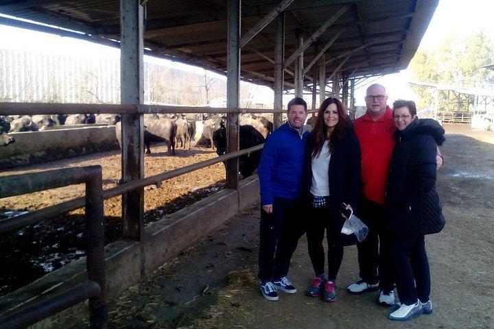Pompeji Skip-The-Line mit Lunch & WineTasting aus Rom