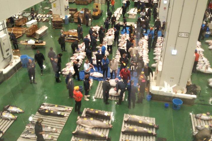 有資格ガイド付き豊洲市場のマグロ競りと築地場外市場の早朝ツアー