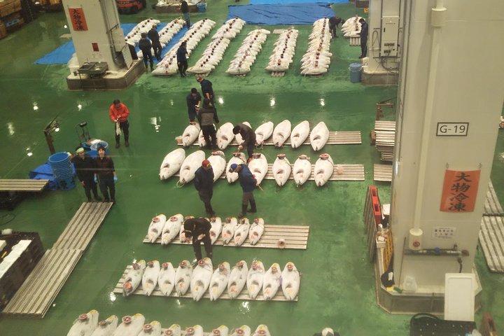 有資格ガイド付き豊洲市場のマグロ競りと築地場外市場の早朝ツアー