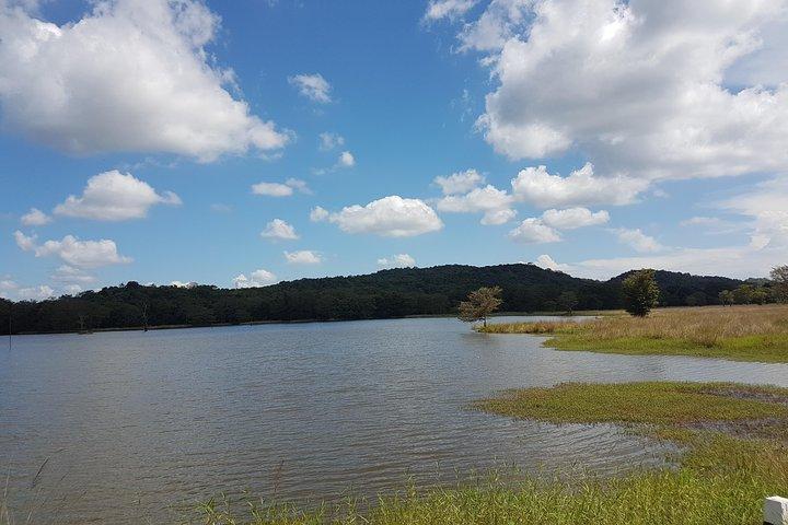 シギリヤからのカウドラ国立公園サファリ