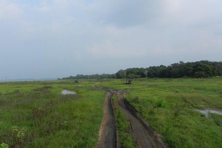 シギリヤからのカウドラ国立公園サファリ
