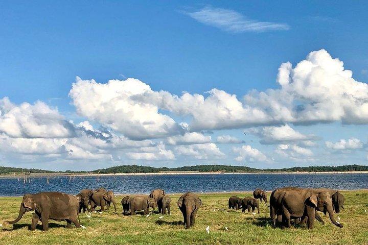 シギリヤからのカウドラ国立公園サファリ